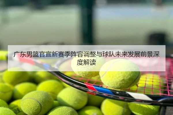 广东男篮官宣新赛季阵容调整与球队未来发展前景深度解读