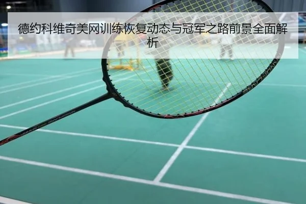 德约科维奇美网训练恢复动态与冠军之路前景全面解析